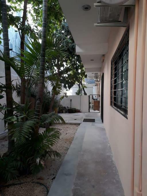 Estudio En Cancun Centro Ngoại thất bức ảnh
